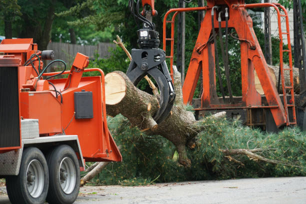 Best Lawn Mowing  in Eveleth, MN